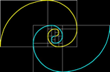 Spirali di Fibonacci e Sezione Aurea