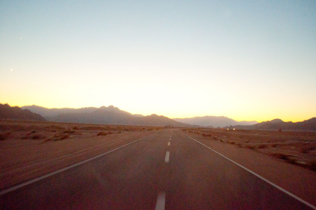 Desert rush